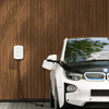 How To Use Electric Car Charger